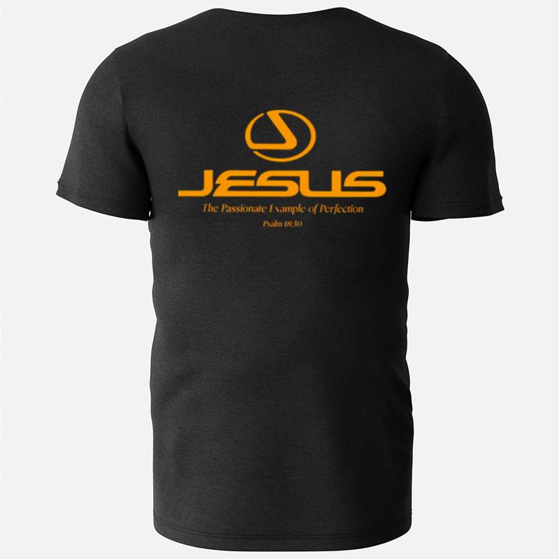 Jesus The Passionate Example Of Perfection T-Shirts
